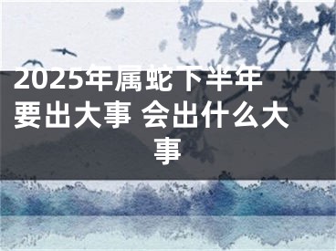 2025年属蛇下半年要出大事 会出什么大事