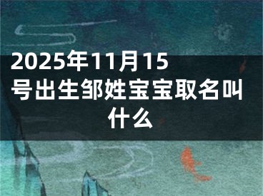 2025年11月15号出生邹姓宝宝取名叫什么