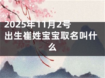 2025年11月2号出生崔姓宝宝取名叫什么