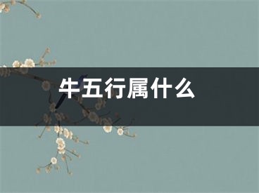 牛五行属什么