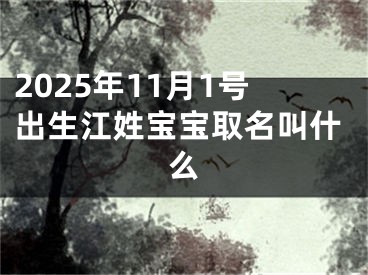2025年11月1号出生江姓宝宝取名叫什么