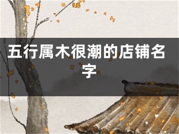 五行属木很潮的店铺名字