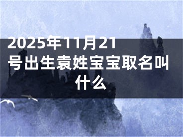 2025年11月21号出生袁姓宝宝取名叫什么