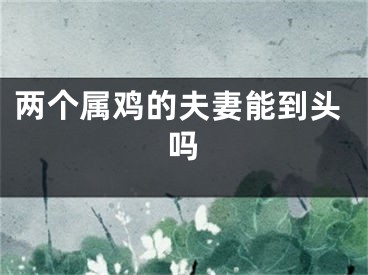 两个属鸡的夫妻能到头吗