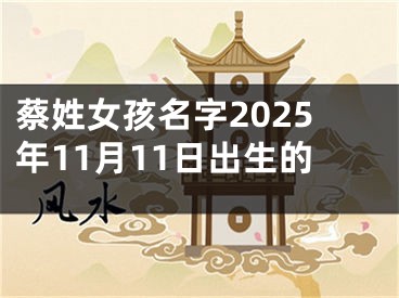 蔡姓女孩名字2025年11月11日出生的
