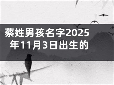 蔡姓男孩名字2025年11月3日出生的