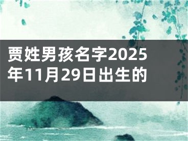 贾姓男孩名字2025年11月29日出生的