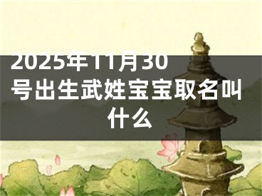 2025年11月30号出生武姓宝宝取名叫什么