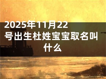 2025年11月22号出生杜姓宝宝取名叫什么