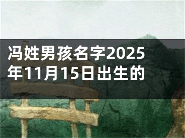 冯姓男孩名字2025年11月15日出生的