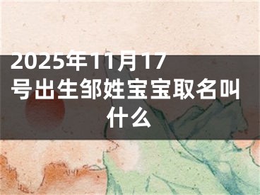 2025年11月17号出生邹姓宝宝取名叫什么