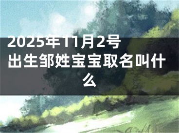 2025年11月2号出生邹姓宝宝取名叫什么