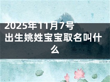 2025年11月7号出生姚姓宝宝取名叫什么