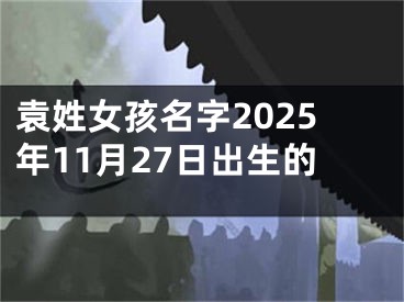 袁姓女孩名字2025年11月27日出生的