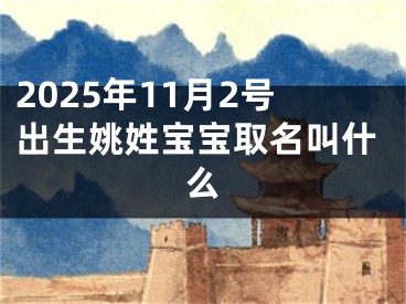 2025年11月2号出生姚姓宝宝取名叫什么