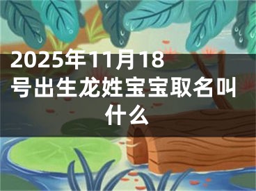 2025年11月18号出生龙姓宝宝取名叫什么