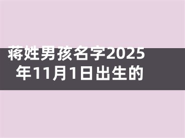 蒋姓男孩名字2025年11月1日出生的