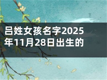 吕姓女孩名字2025年11月28日出生的