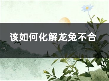 该如何化解龙兔不合