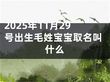 2025年11月29号出生毛姓宝宝取名叫什么