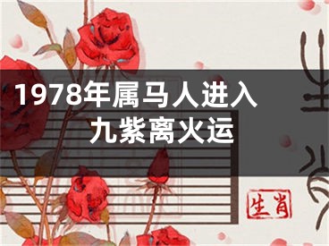 1978年属马人进入九紫离火运