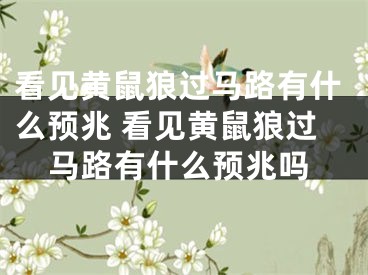 看见黄鼠狼过马路有什么预兆 看见黄鼠狼过马路有什么预兆吗