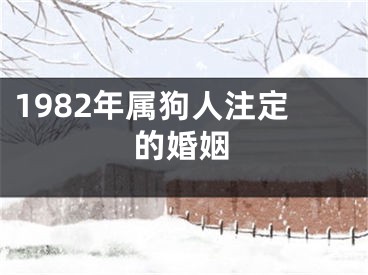 1982年属狗人注定的婚姻