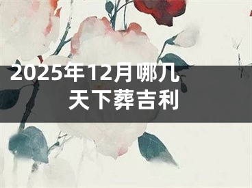 2025年12月哪几天下葬吉利