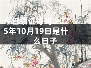 今日领证好吗 2025年10月19日是什么日子