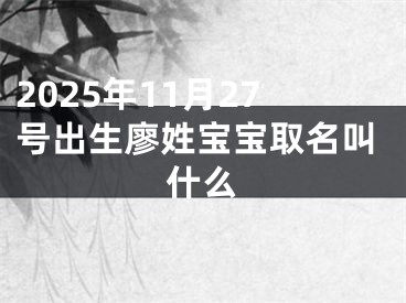 2025年11月27号出生廖姓宝宝取名叫什么