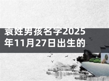 袁姓男孩名字2025年11月27日出生的