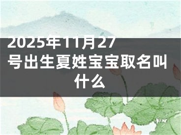 2025年11月27号出生夏姓宝宝取名叫什么