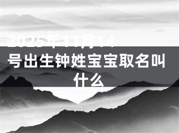 2025年11月14号出生钟姓宝宝取名叫什么