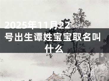 2025年11月22号出生谭姓宝宝取名叫什么