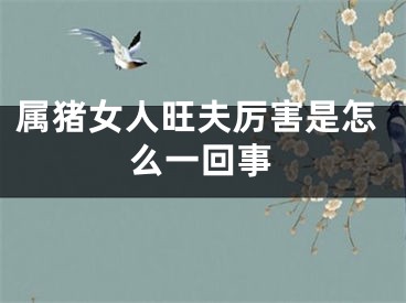 属猪女人旺夫厉害是怎么一回事