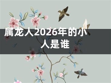 属龙人2026年的小人是谁