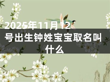 2025年11月12号出生钟姓宝宝取名叫什么