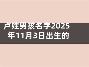 卢姓男孩名字2025年11月3日出生的