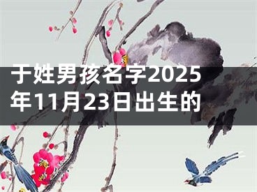 于姓男孩名字2025年11月23日出生的