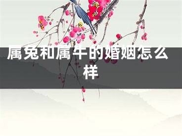 属兔和属牛的婚姻怎么样