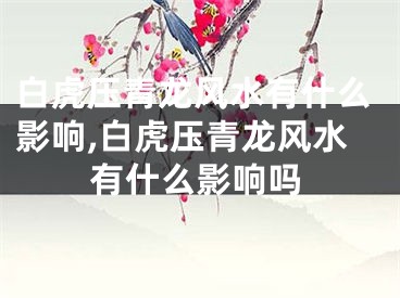 白虎压青龙风水有什么影响,白虎压青龙风水有什么影响吗