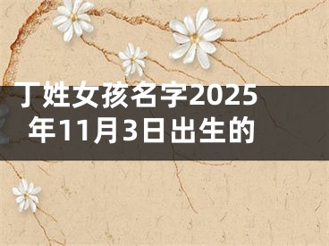 丁姓女孩名字2025年11月3日出生的