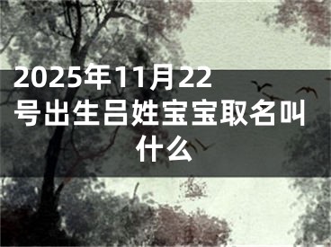 2025年11月22号出生吕姓宝宝取名叫什么