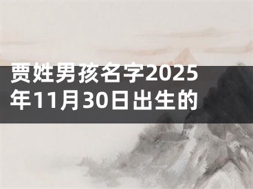 贾姓男孩名字2025年11月30日出生的