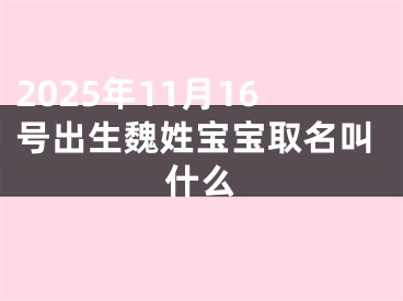 2025年11月16号出生魏姓宝宝取名叫什么