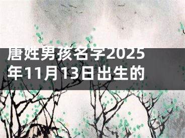 唐姓男孩名字2025年11月13日出生的