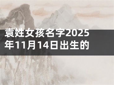 袁姓女孩名字2025年11月14日出生的