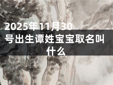 2025年11月30号出生谭姓宝宝取名叫什么