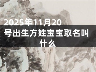 2025年11月20号出生方姓宝宝取名叫什么