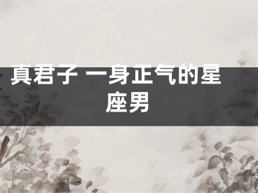 真君子 一身正气的星座男